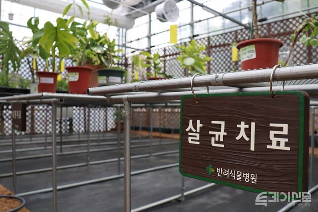 반려식물병원의 살균치료실에서 식물들이 치료를 받고 있다. ⓒ투데이신문