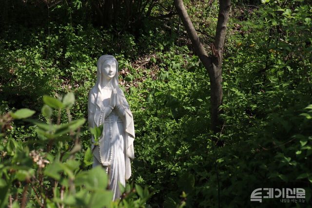미술관 자작나무숲에 세워진 성모 성상.&nbsp;ⓒ투데이신문