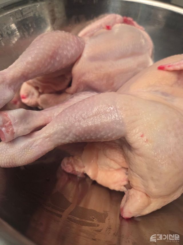 공장 관계자가 에어칠링(공기 냉각) 중인 닭을 직접 보여줬다. 물에 담그는 대신 차가운 공기로 빠르게 식혀져서 닭의 표면은 단단하게 마른 상태였다.&nbsp;ⓒ투데이신문