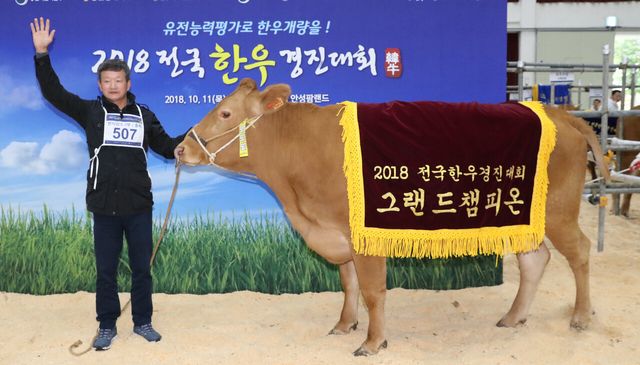 지난 2018년 10월 경기도 안성시 공도읍에 위치한 농협 안성팜랜드에서 열린 '2018 전국한우경진대회'에서 그랜드챔피언 영예를 안은 충북 홍창영 씨가 기념촬영을 하고 있다. [사진제공=뉴시스]