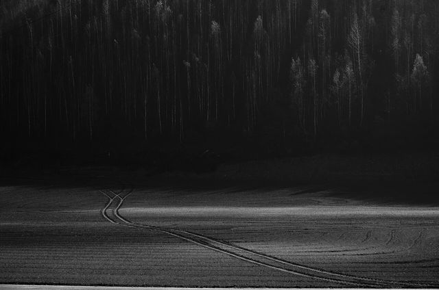 원종호 관장이 직접 촬영한 사진. [사진제공=미술관 자작나무]