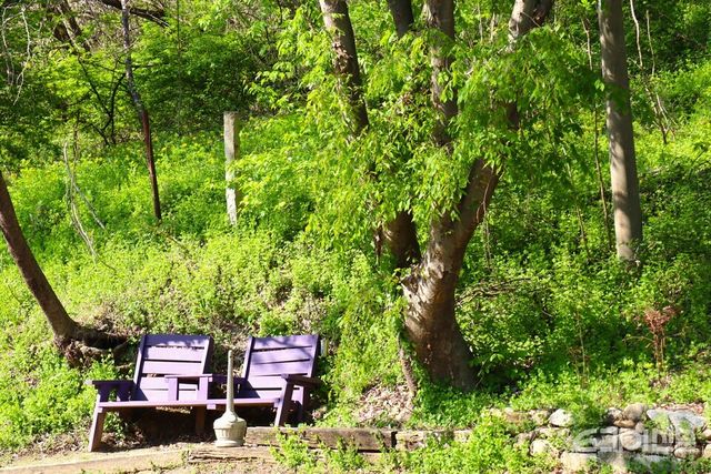 미술관 자작나무숲에 설치돼 있는 의자 한 쌍.&nbsp;ⓒ투데이신문