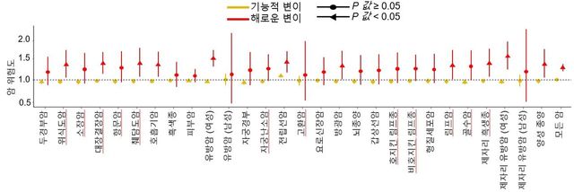영국 바이오뱅크(UK Biobank)의 약 50만명의 유전체 및 임상 데이터를 활용해 검증한 결과, 연구팀이 구분한 해로운 변이를 갖고 있는 사람은 그렇지 않은 사람보다 암에 걸릴 위험도가 약 1.4배 높은 것으로 나타났다. [자료=세브란스병원]