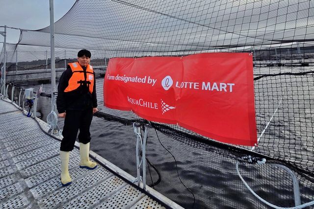 칠레 남부 로스라고스주 푸에르토몬트에 있는 현지 연어 양식장을 방문한 롯데마트·슈퍼 수산팀 조성연 MD의 모습. [사진=롯데마트]