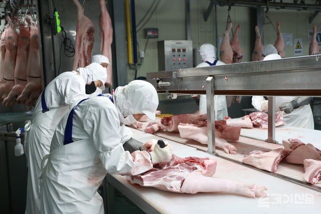 도드람 안성LPC에서 생산한 돼지고기가 육가공 과정을 거치고 있다. ⓒ투데이신문