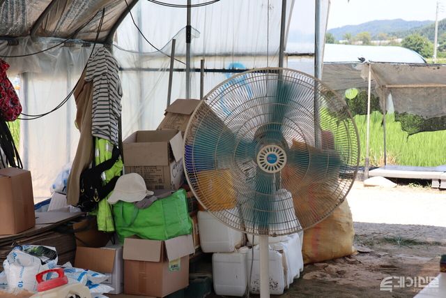 이씨의 비닐하우스에 있는 대형 선풍기. ⓒ투데이신문