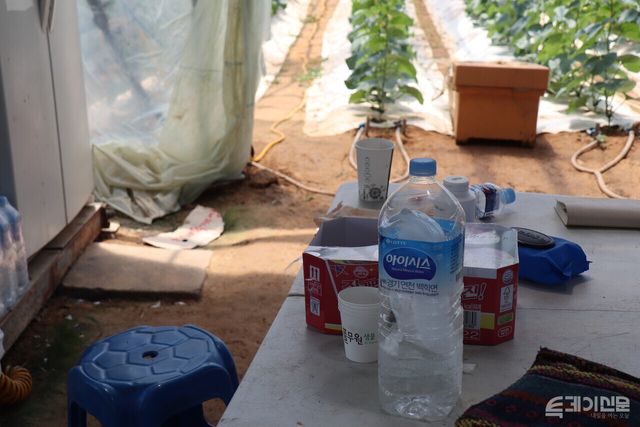 이씨의 비닐하우스에 얼음물이 놓여져 있다. ⓒ투데이신문