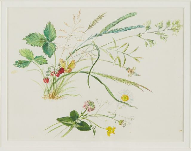 2. Tasha Tudor, Wild Strawberries, Pencil, color pencil and watercolor on paper, 17 x 22cm [사진 제공=롯데뮤지엄]<br>