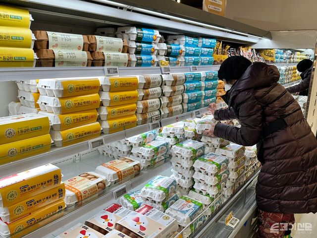 3일 서울 시내 한 대형마트에 계란이 진열돼 있다. ⓒ투데이신문