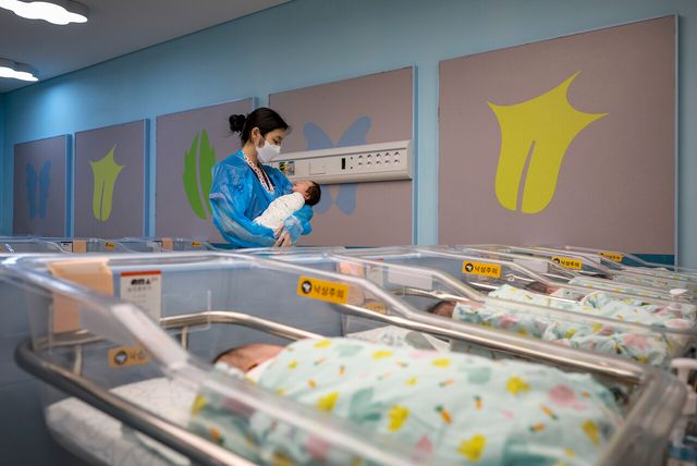 지난해 9월 25일 경기 소재 한 병원 신생아실에서 간호사가 신생아들을 살피고 있다. [사진제공=뉴시스]<br>