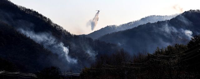 지난 7일 경북 경주시 문무대왕면 입천리에서 발생한 산불 현장에서 8일 소방헬기가 진화 작업을 벌이고 있다. [사진제공=뉴시스]&nbsp;<br>