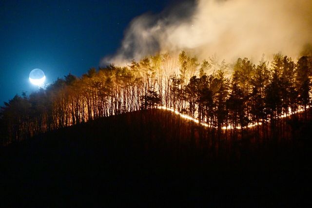 지난달 22일 오후 경남 함양군 마천면 창원리 야산에서 산불이 강풍과 함께 확산하고 있는 모습. [사진제공=뉴시스]