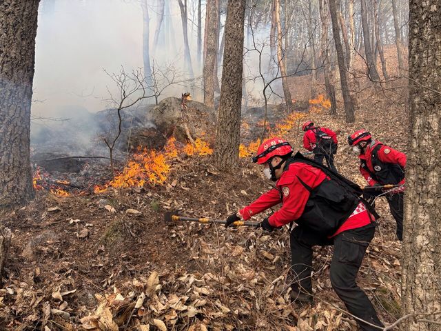 경남 함양군 소재 한 야산에서 산림청 소속 산림재난특수진화대원이 산불 진화 작업을 진행하고 있다. [사진제공=뉴시스]