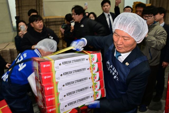 18일 오후 민생현장 방문차 경남 진주시 수곡면 수곡면농산물유통센터를 찾은 정청래 더불어민주당 대표가 이 지역 대표 농산물인 딸기가 포장된 박스를 옮기고 있다. [사진제공=뉴시스]