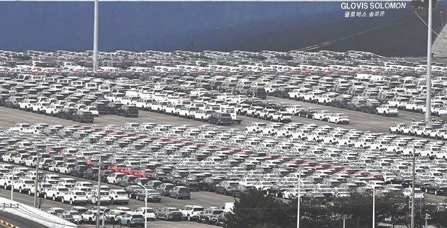 경기 평택시 평택항 자동차 전용 부두에 수출용 차량이 세워져 있는 모습. [사진=뉴시스]