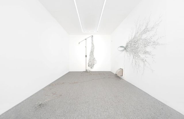 개인전 《숨은 소리》 전시 전경_2025_황금향<br>