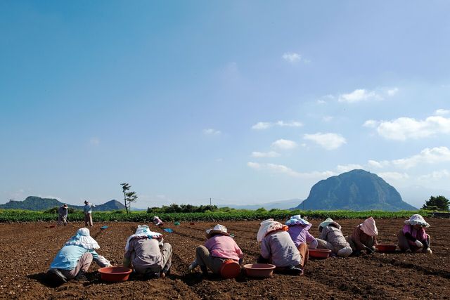 기사 내용과 직접적 관련 없는 자료사진. [사진제공=게티이미지뱅크]