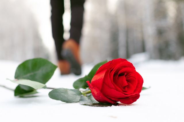 기사 내용과 직접적 관련 없는 자료사진. [사진제공=게티이미지뱅크]<br>