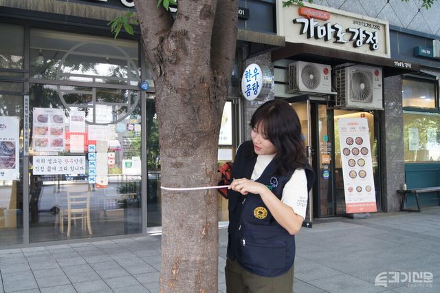 시티트리클럽 워크숍 참가자가 현장 실습에 나가 나무의 둘레를 재고 있다. ⓒ투데이신문