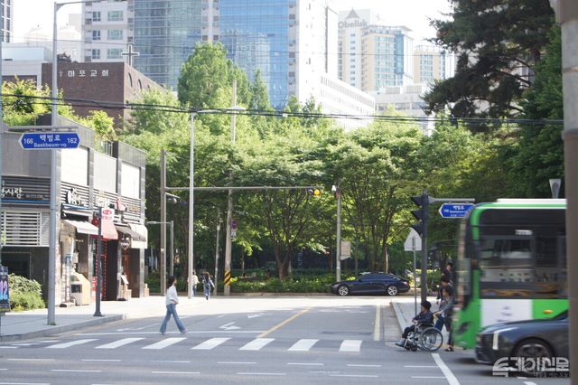 마포대로의 가로수들이 햇빛을 받고 있다. ⓒ투데이신문