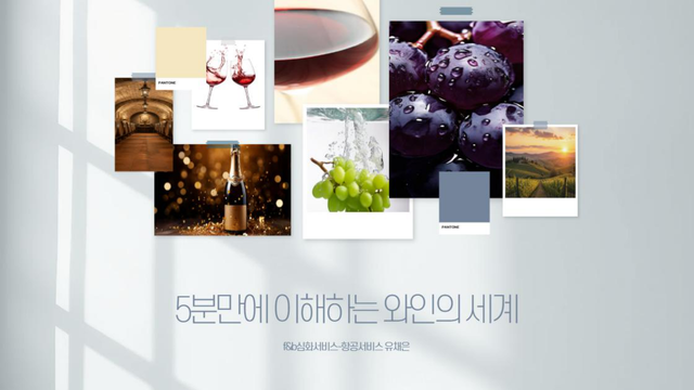 [이미지 제작= 청년기자단 동서울대학교 항공서비스학과 유채은]&nbsp;