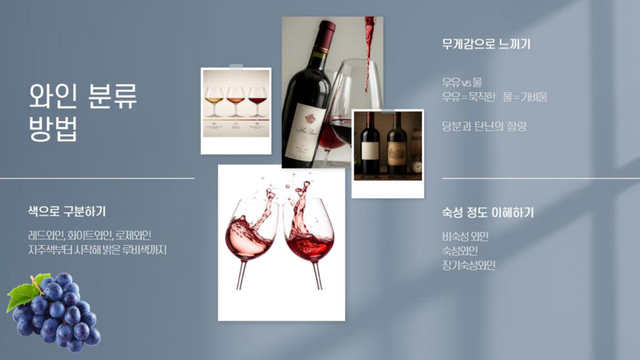 [이미지 제작= 청년기자단 동서울대학교 항공서비스학과 유채은]&nbsp;