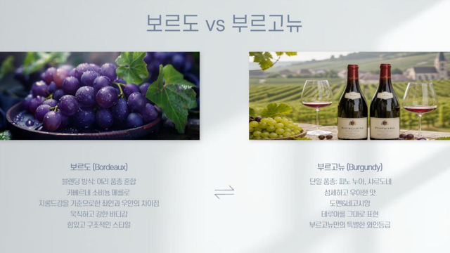[이미지 제작=청년기자단 동서울대학교 항공서비스학과 유채은]&nbsp;