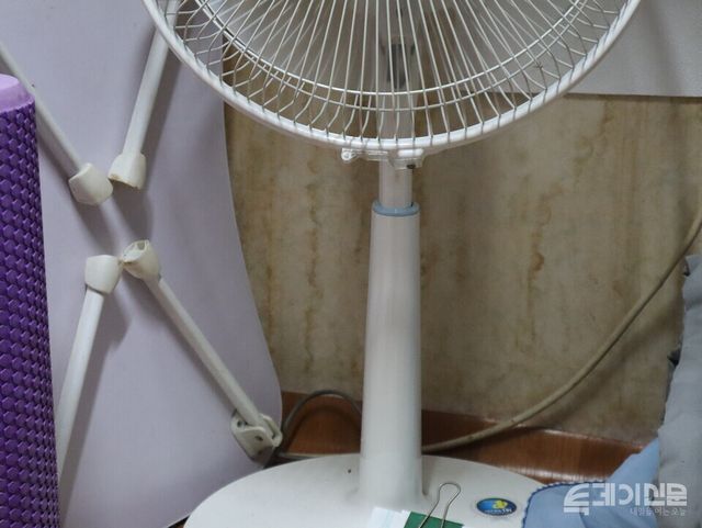 물이 새 벽지에 곰팡이가 슬어 있다.&nbsp;ⓒ투데이신문