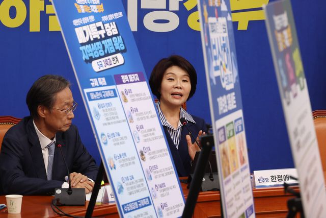 더불어민주당 선거대책위원회 한정애 정책본부장이 지난 5월 13일 서울 여의도 국회에서 제9회 전국동시지방선거 더불어민주당 메가특구 공약 발표 기자회견을 하고 있다. [사진제공=뉴시스]