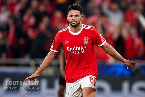 곤살루 하무스(벤피카). 게티이미지코리아