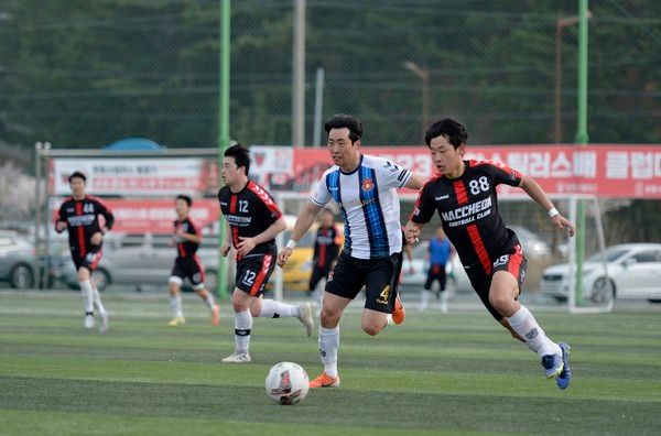 포항 스틸러스 제공