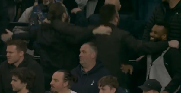 토트넘홋스퍼 관중석. 영국 매체 '더선' 캡처