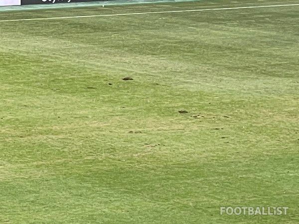 서울월드컵경기장 잔디. 김희준 기자