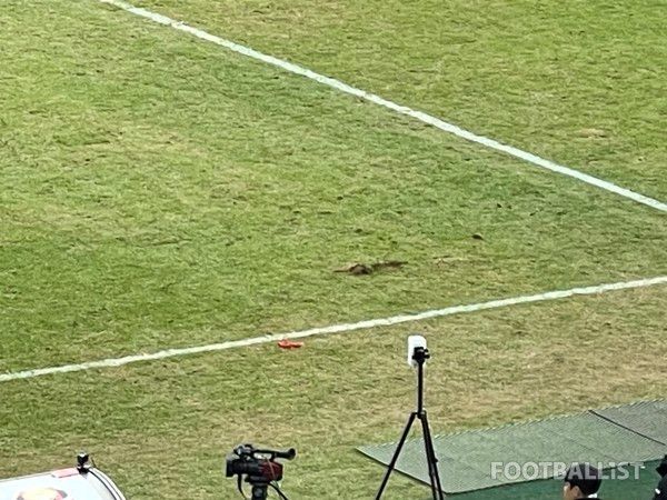 서울월드컵경기장의 훼손된 잔디. 김희준 기자