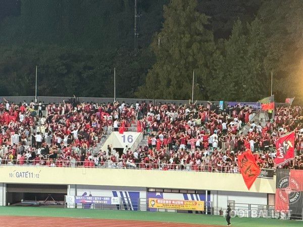 포즈난 응원을 즐기는 FC서울 팬들. 김희준 기자