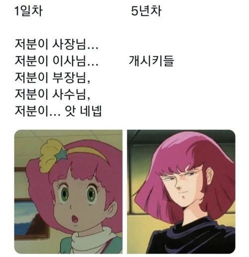 17139210684535.jpeg