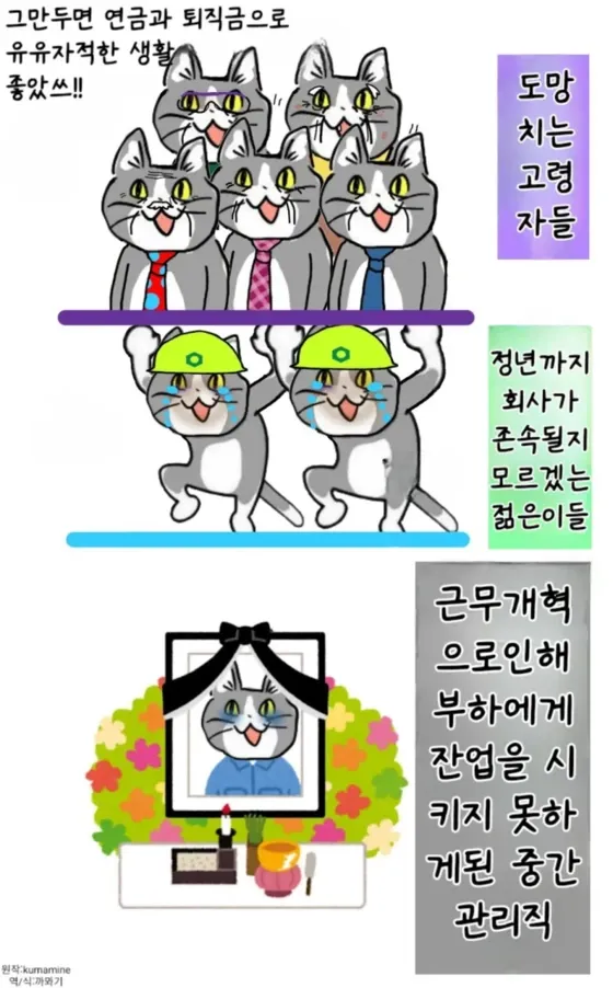 17189172836351.webp