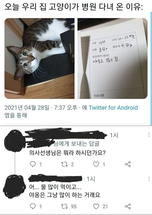 17272296265237.jpg