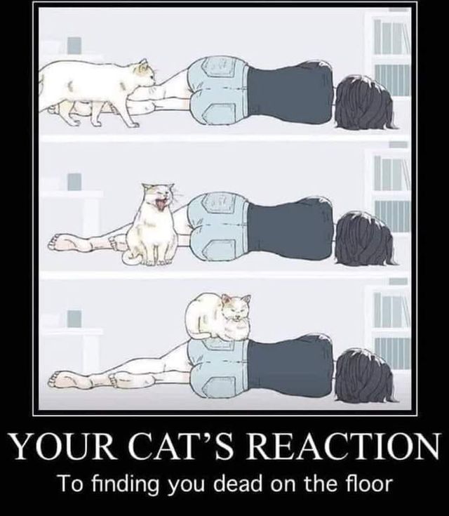 btbb100fe1f6a84d68eb7cea3b0e2280d0.jpg