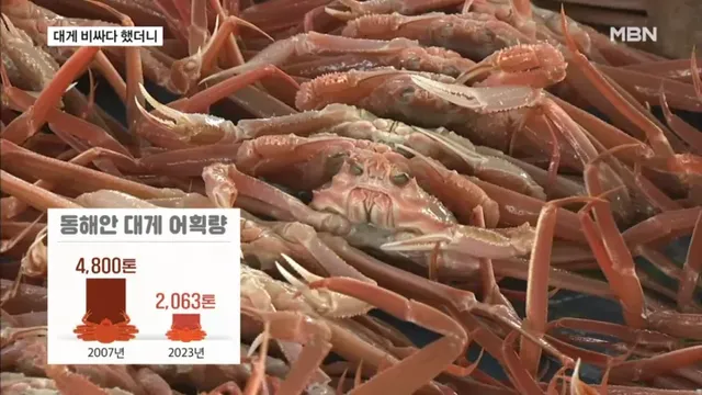 bt24136a3992a530d3760fdc61e35301f5