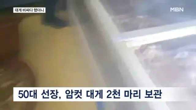 bt0888b88111f350ba1e41efa39ca1518b