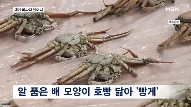 btb87ffcba401dc78fa34230da869338bf