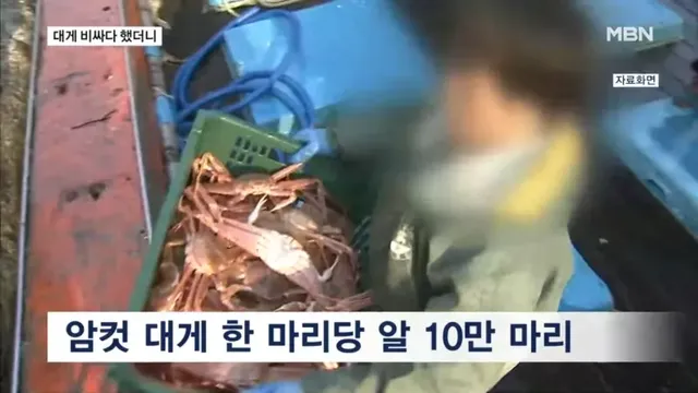 bt4f143540e0f1ec3da5570de3395fb349