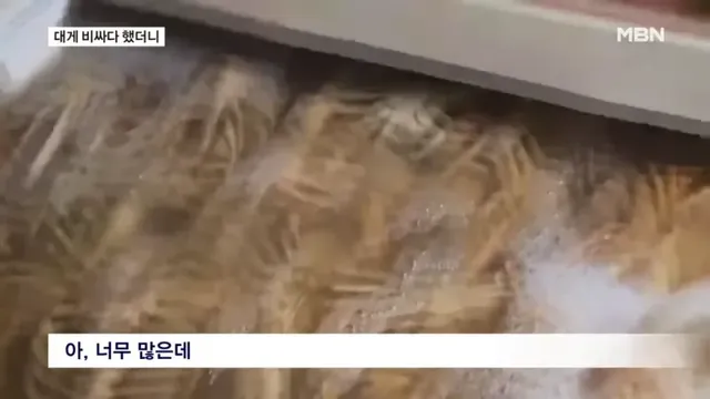 bt9bba6b795b381aac3e772ee0e024a103