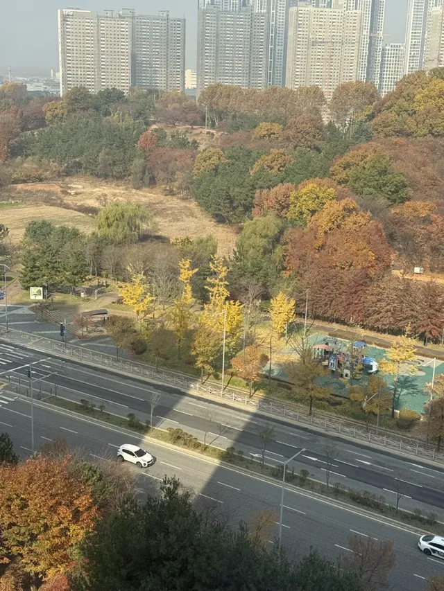 bt94b6b15140f40ec0004e5556934df34d