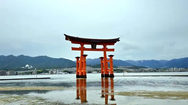 btb5dc25374aa13b6f806b6d9dd547820b