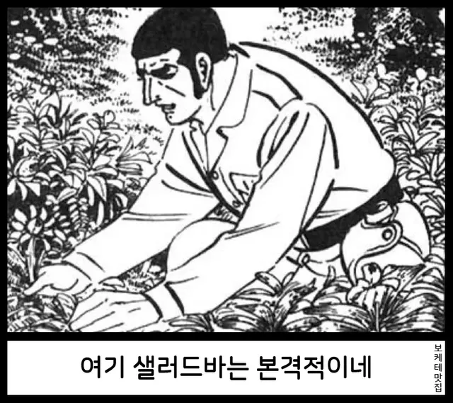 bt339b50fdfff9739936294b72a320cbdc