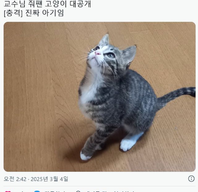 bt346db676e00c09491a76f5202000c9ae.png
