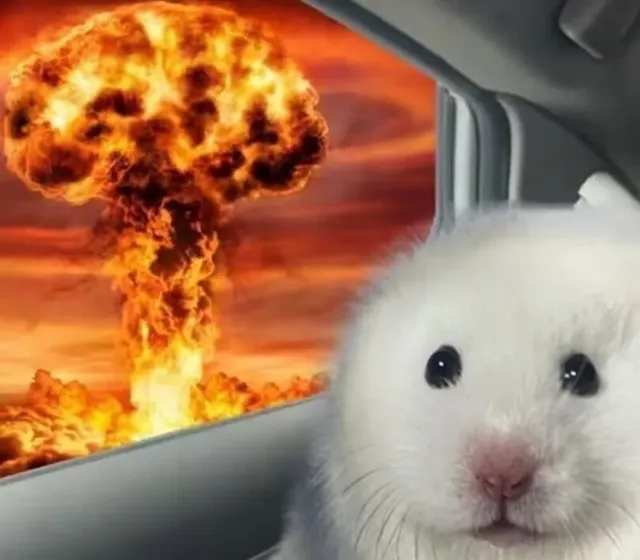 bt0b7208400830ed7932f3c94202acc527