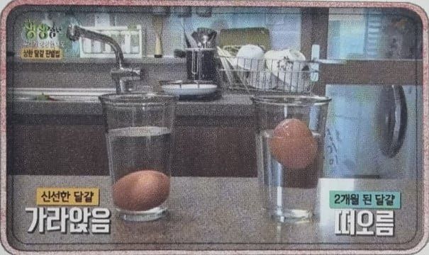 bt46c8fe909f95ad02954ad5768a684b0b.jpeg